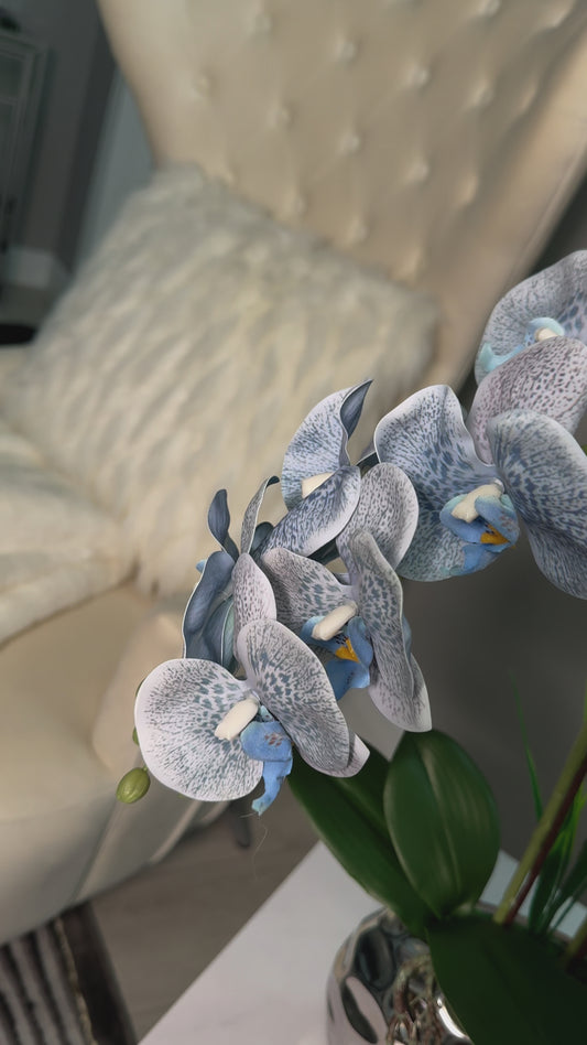 Giulia Real Touch Blue Orchid Arrangement in Beveled Silver Vase