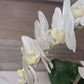 Selina Real Touch White Orchid Arrangement in Gold Ceramic Round Hammered Vase Phalaenopsis Floral