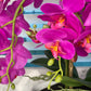 Pink Phalaenopsis Orchid Floral Arrangement in White Vase