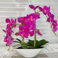 Pink Phalaenopsis Orchid Floral Arrangement in White Vase