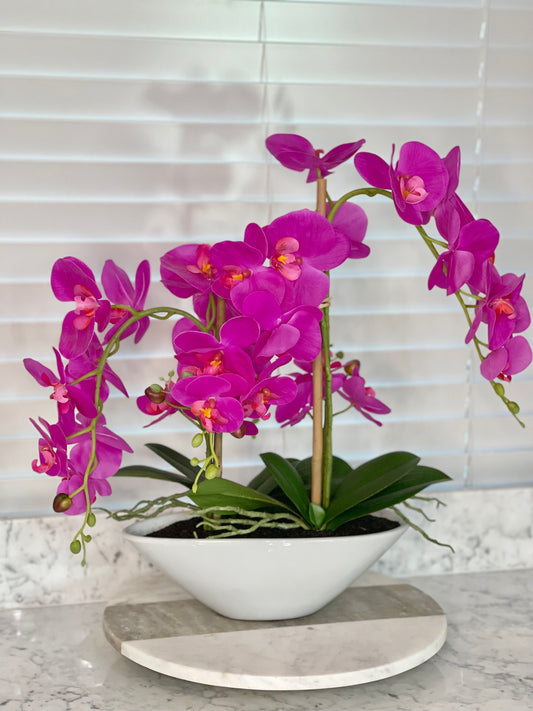 Pink Phalaenopsis Orchid Floral Arrangement in White Vase