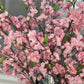 Silk Cherry Blossom Flower Branches, 36" Set of 3 Pink