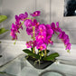 Pink Phalaenopsis Orchid Floral Arrangement in Black Vase