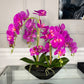 Pink Phalaenopsis Orchid Floral Arrangement in Black Vase