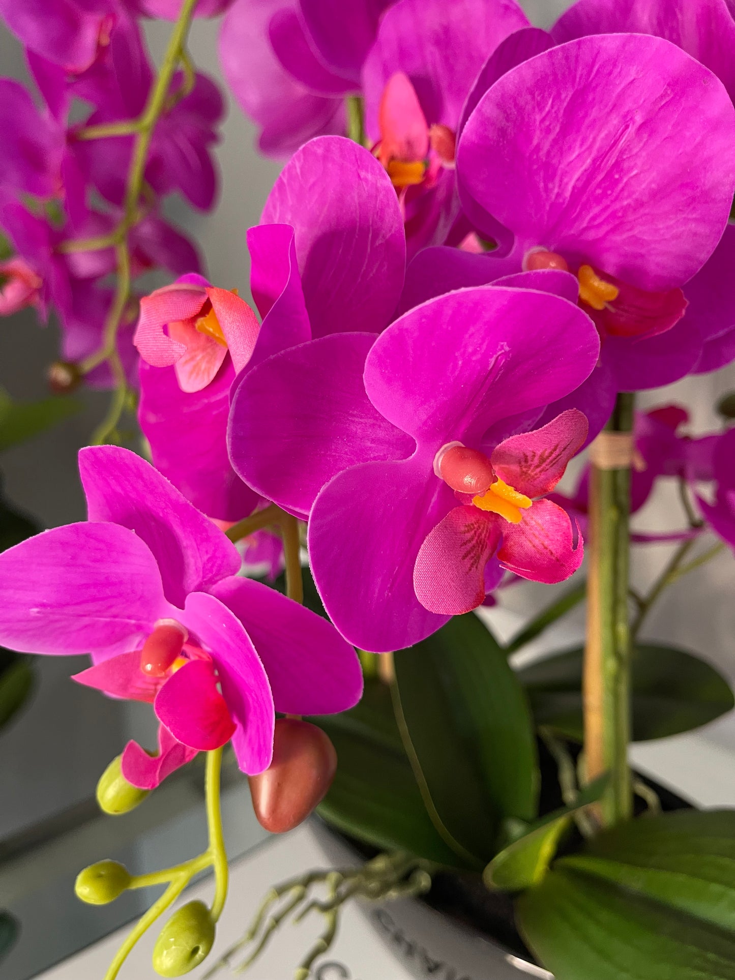 Pink Phalaenopsis Orchid Floral Arrangement in Black Vase