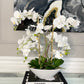 Phalaenopsis Floral White Orchid Arrangement