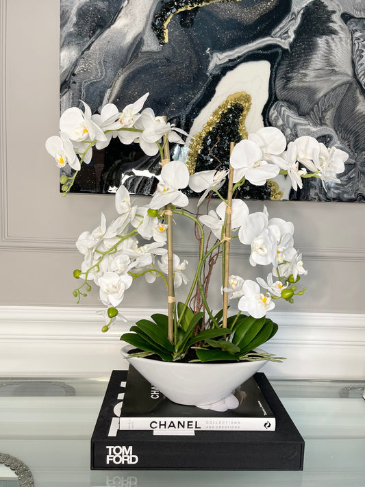 Phalaenopsis Orchid Floral Arrangement with White Vase