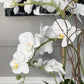 Phalaenopsis Floral Orchid Arrangement