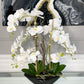 Phalaenopsis Floral Orchid Arrangement