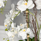Phalaenopsis Floral Orchid Arrangement