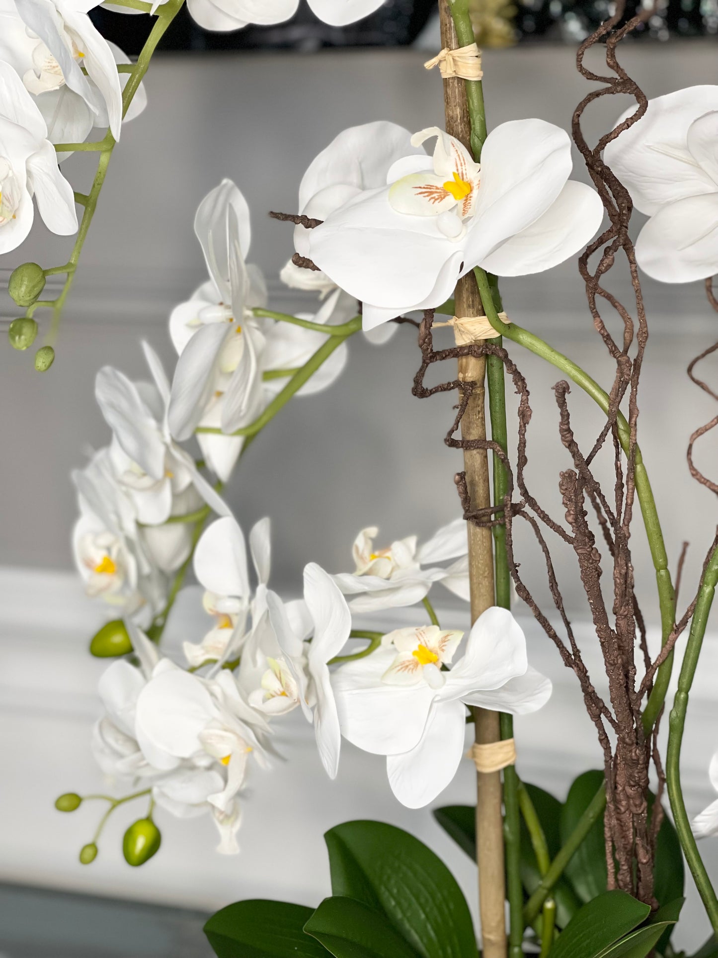 Phalaenopsis Floral Orchid Arrangement