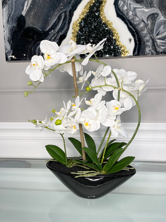 Real Touch White Phalaenopsis Orchid Arrangement on Black Vase