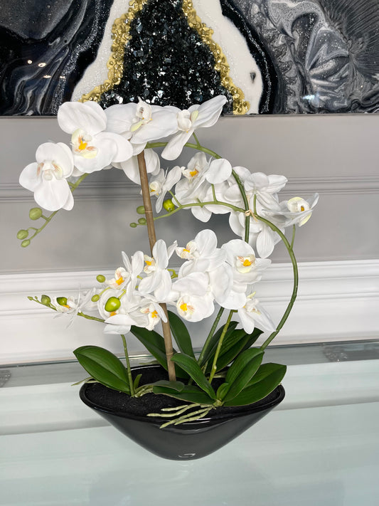 Real Touch White Phalaenopsis Orchid Arrangement on Black Vase