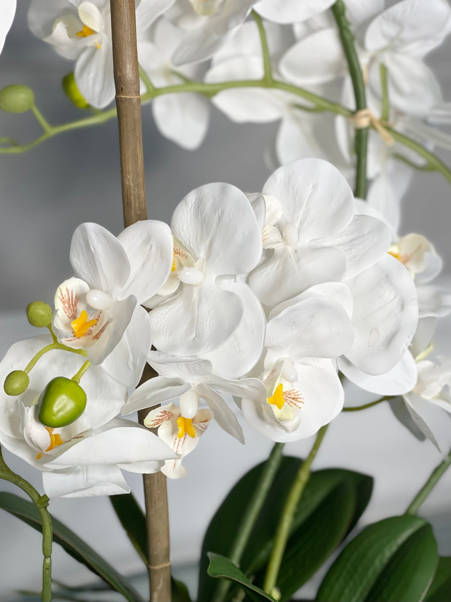 Real Touch White Phalaenopsis Orchid Arrangement on Black Vase