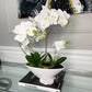 Real Touch White Phalaenopsis Orchid Arrangement on White Vase