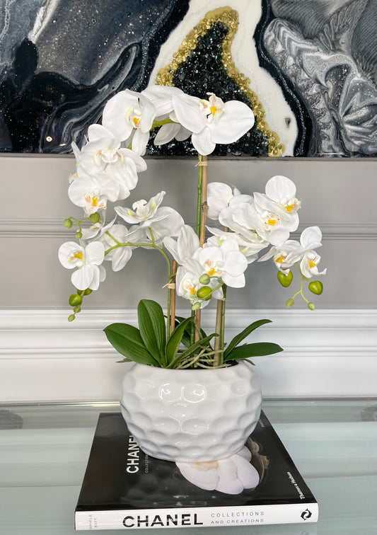 Giulia White Orchid Arrangement in Beveled White Ceramic Vase Real Touch