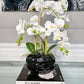 Real Touch White Orchid Arrangement in Beveled Black Vase