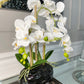 Real Touch White Orchid Arrangement in Beveled Black Vase