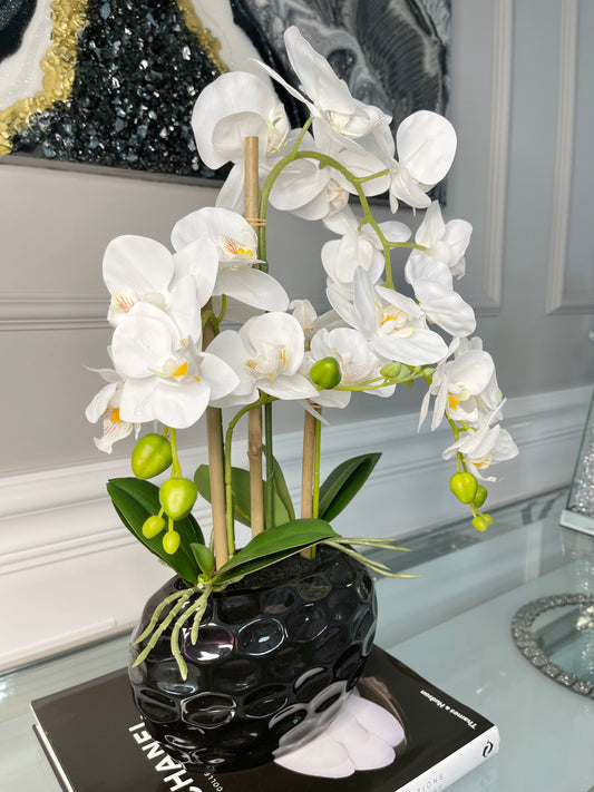 Giulia Real Touch White Orchid Arrangement in Beveled Black Vase