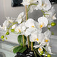 Real Touch White Orchid Arrangement in Beveled Black Vase
