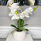 Orchid Arrangement in White Round Modern Vase