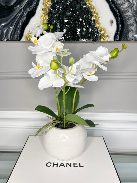 Orchid Arrangement in White Round Modern Vase