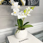Orchid Arrangement in White Round Modern Vase