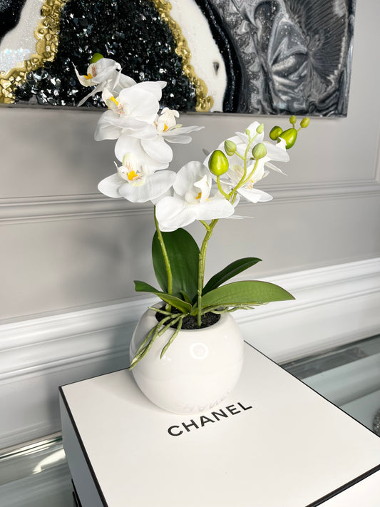 Orchid Arrangement in White Round Modern Vase