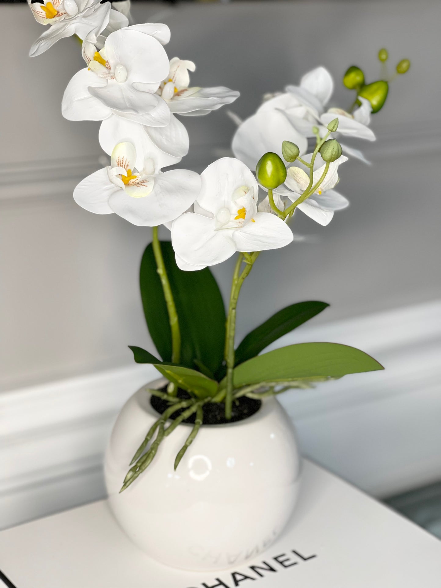 Orchid Arrangement in White Round Modern Vase