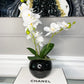 Orchid Arrangement in Black Round Modern Vase