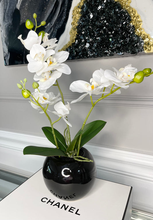 Orchid Arrangement in Black Round Modern Vase