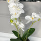 Orchid Arrangement in Black Round Modern Vase