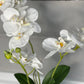 Orchid Arrangement in Black Round Modern Vase