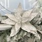 Frosted White Poinsettia with Glitter, Set of 5