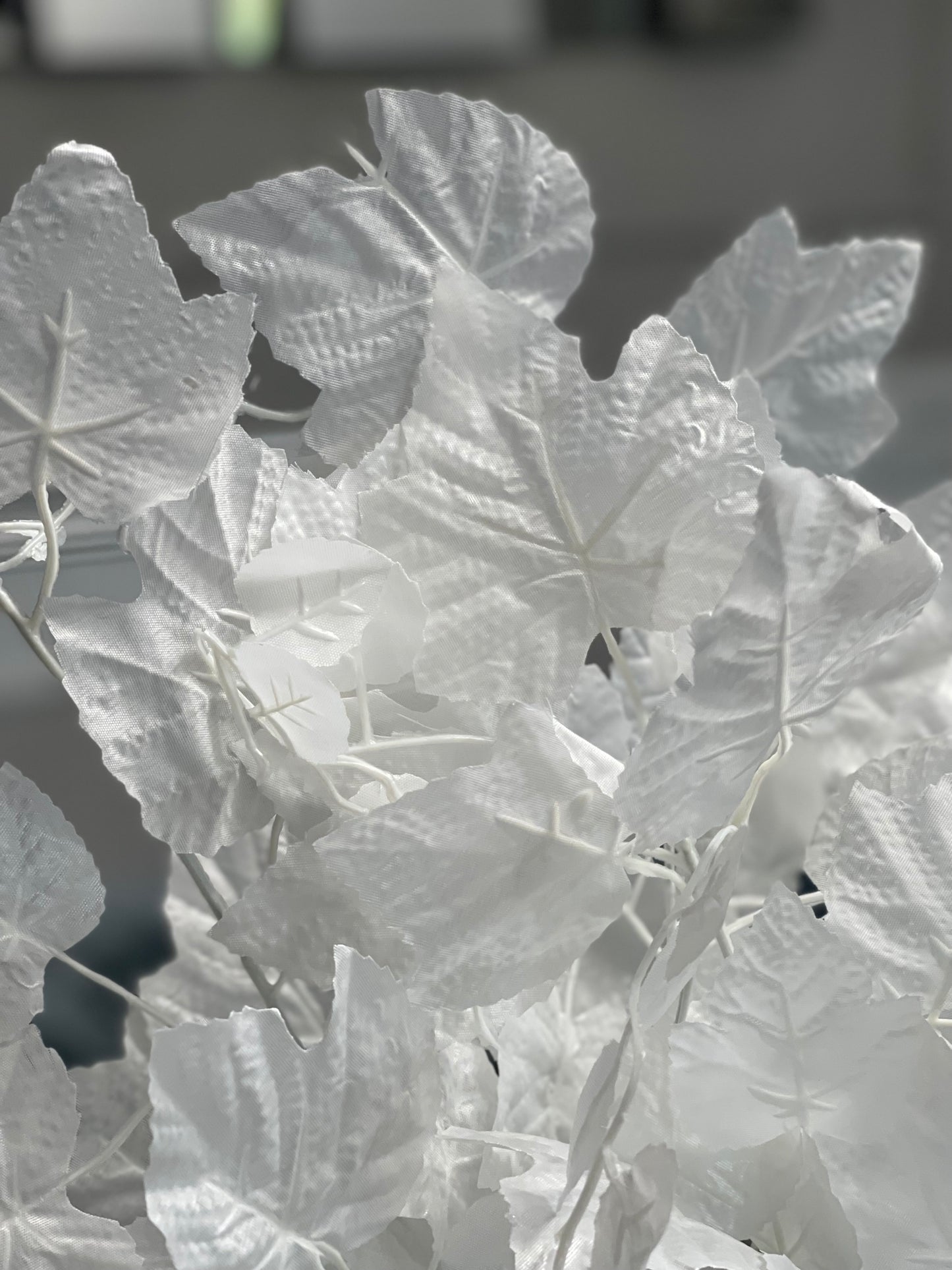 White Faux Leaves with Stems, Set of 3