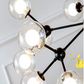 Ardelis Branch Chandelier
