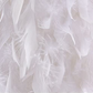 Totally Glam Feather Crystal Chandelier