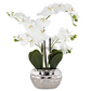 Chambray Faux Orchid in Silver Pot