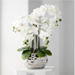 Chambray Faux Orchid in Silver Pot