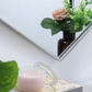 Jeanne Silver Mirror