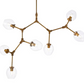 Cavoli 7 Light Chandelier