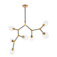 Cavoli 7 Light Chandelier