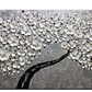 Grey Blooming Tree Hand Painted Wall Art