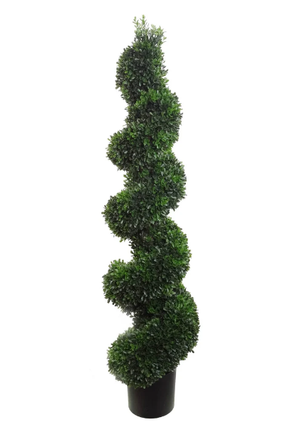 Boxwood Spiral Topiary, 44"