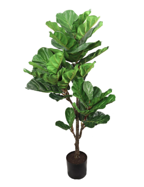 Artificial Fiddle Leaf Ficus Tree, 56" Plant
