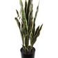 Silk Snake Plant, 36in
