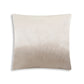 Noah Grey Velvet Pillow