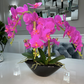 Pink Phalaenopsis Orchid Floral Arrangement in Black Vase