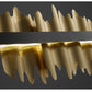 Valerie Modern Chandelier